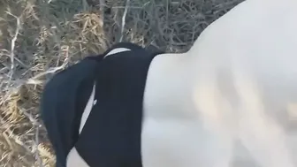 Step Sister sex in the forest